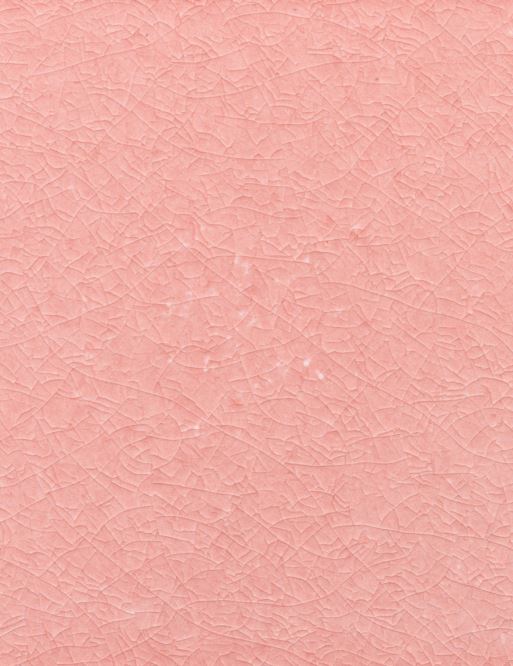 Ranieri Lavastone - Pietra Lavica - Deep Color